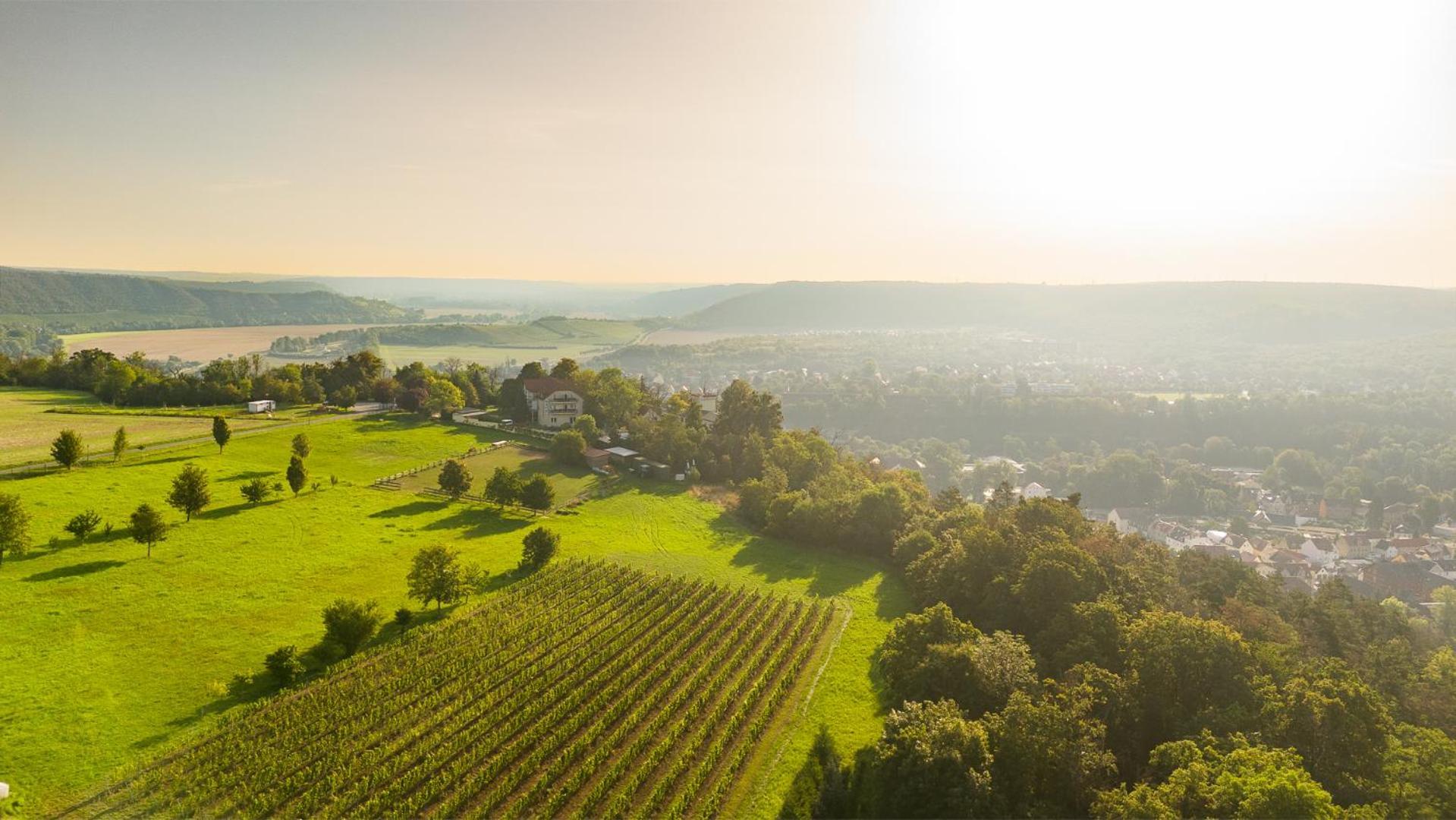 Berghotel Wilhelmsburg Bad Kosen Zewnętrze zdjęcie